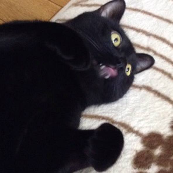 0a15d050 9b4e 4aee 93df 639ca92705fa