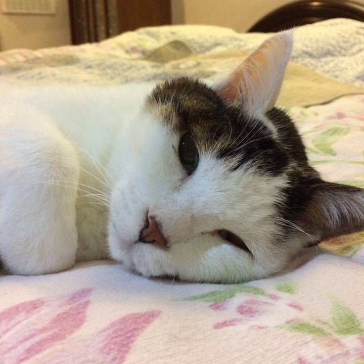 0a1675f9 b302 42a7 8bc3 edd456bb6e6a