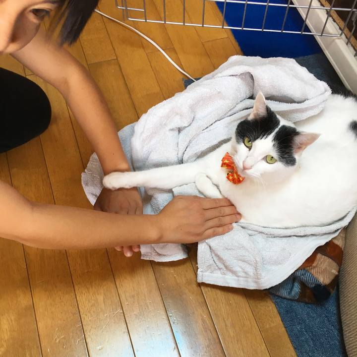 0a16865c 8ef5 4c4f bd1b eea78ea34ddc