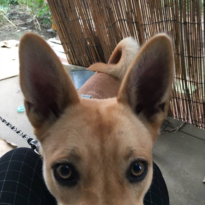 0a17392c cfb0 4ced 9b51 b347f9c9757a