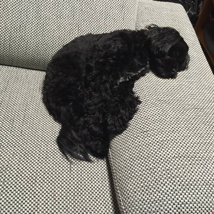 0a178f52 2874 4903 8cdf 509da0ac2046