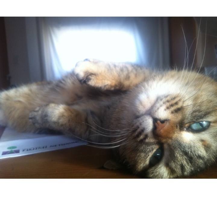 0a179d30 a99b 47bf 9a63 27904b42f4c3