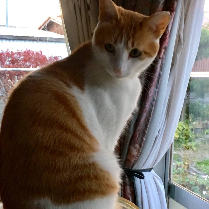 0a19908e 6a98 431a bc57 e9deb4aa8161