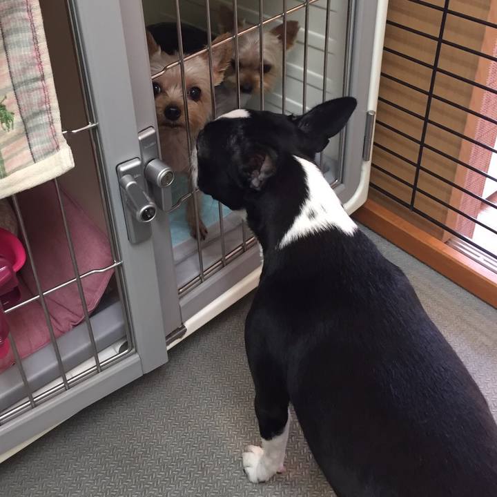 0a19a2f9 31fe 4db1 aebc e40a62f3c29e