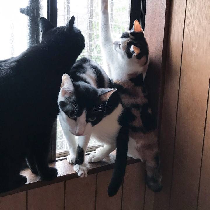 0a1a4107 39de 4b54 9b2d aac3f3cfb158