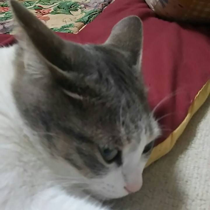 0a1b5ee9 1189 4a5d b338 6e4d30ffc92f