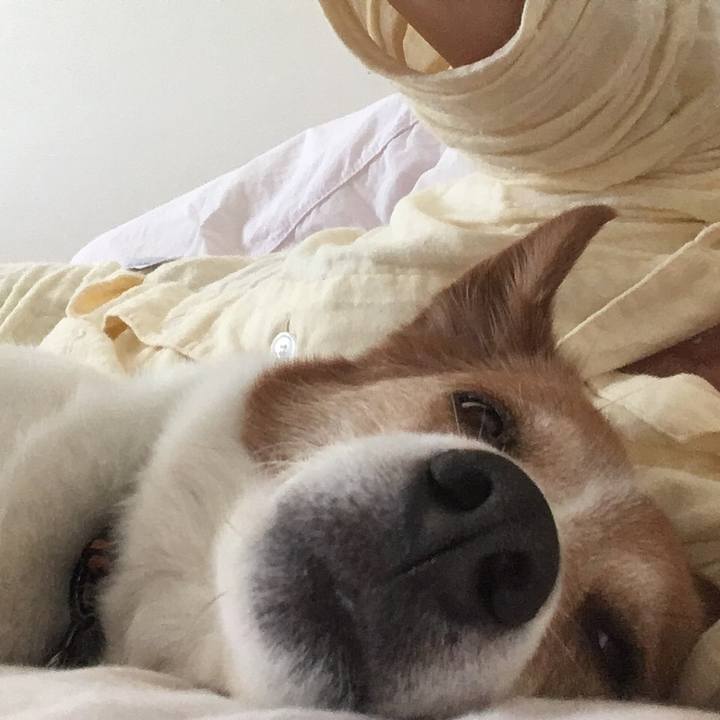 0a1bb6c0 a900 434c b871 4b87f77e5afc