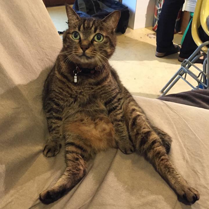 0a1bc196 a1d8 40de ae85 3240d228befc