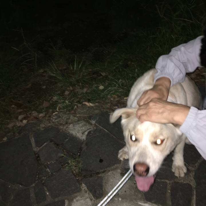 0a1c98dc f581 4f23 b93d 7d5502ef1798