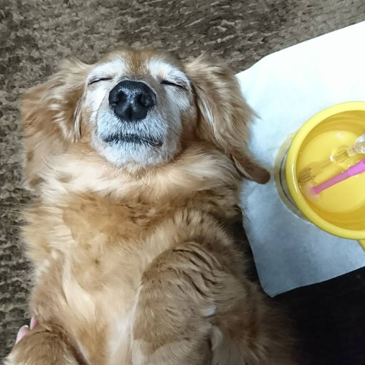 0a1d6567 f58b 4bb2 838b fcaabd3b4b13