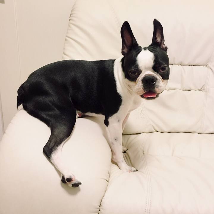 0a1e10f7 f1b6 4a3f 97cb fdc1f57f1023