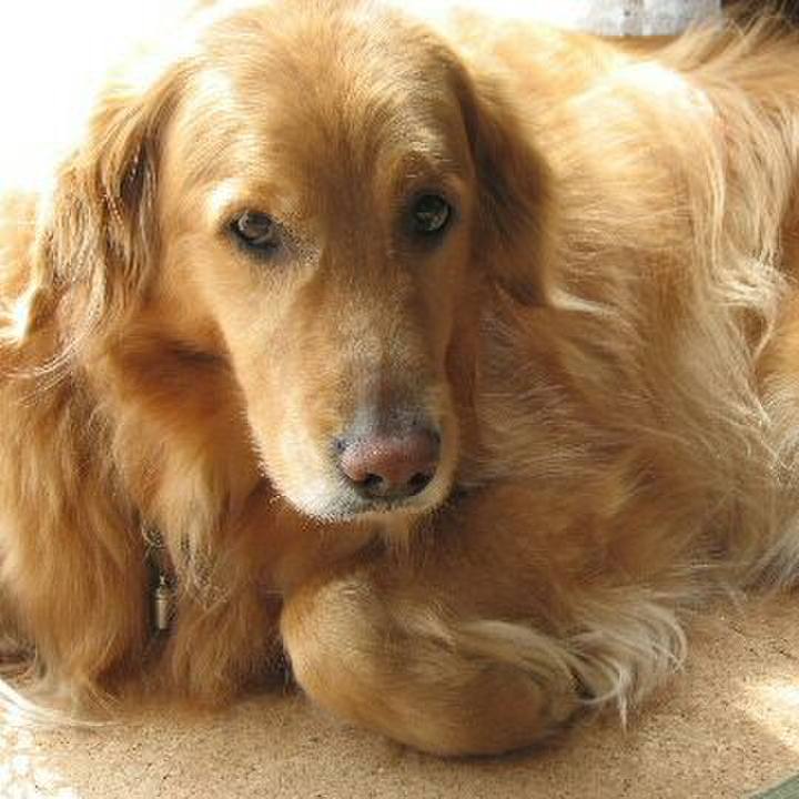 0a1e820c 6233 494a 9fae 05fcf1986188