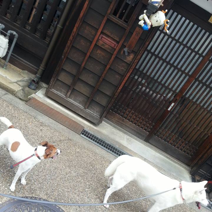 0a1f748e 40c9 47c4 843b d18aff96fcd5