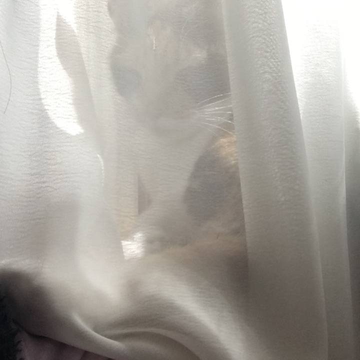 0a1f7e0e abac 4cfd a537 c99fb996c101