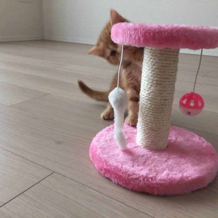 0a1fde5f c8f1 4387 8403 f9df79947142