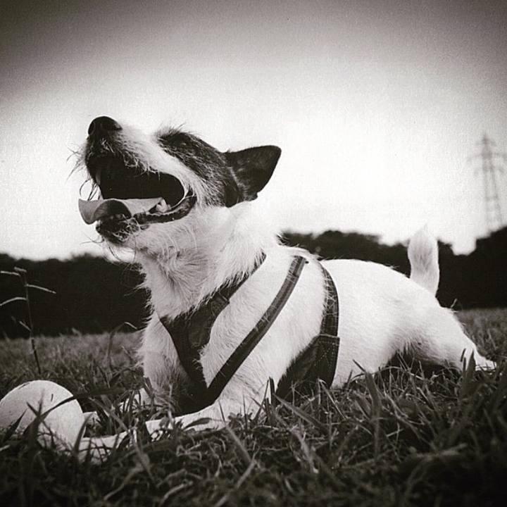 0a202db0 e80c 484f 928e b29b82392d72