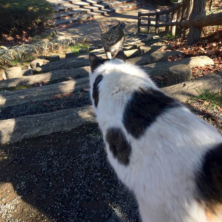 0a2039de 2310 495d 9c12 0fd74d5e8a95