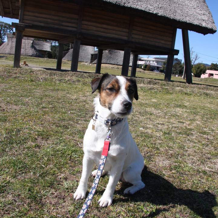 0a20d3af a0ad 4f12 bd50 5369da74f1d6