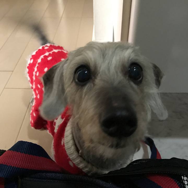 0a20ebbc 06c4 4aec 8cd0 e23e640de376