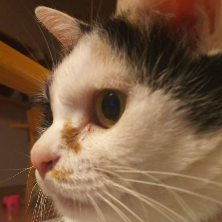 0a222185 f671 4834 8ea1 071a6786fb6a