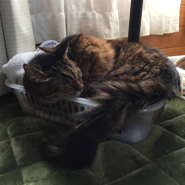 0a223997 78ee 423d 807d 56f9b4d435cb