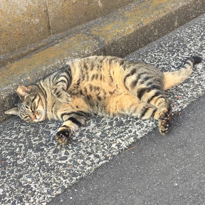 0a225fff 95e9 4a54 b89f afedf2b5d9de