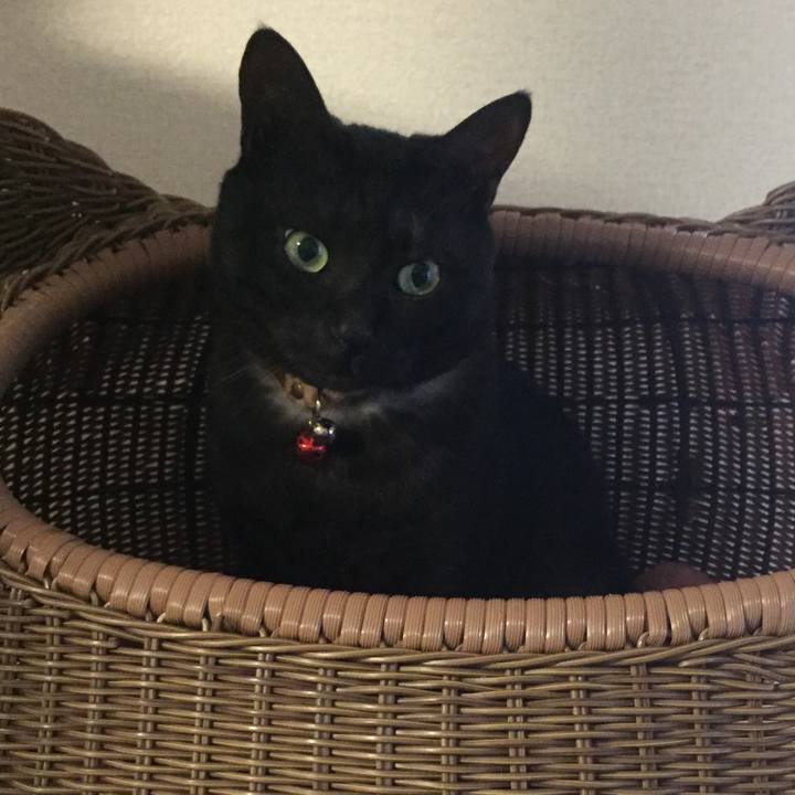 0a22f1b0 8285 4276 9947 366fd98146dc