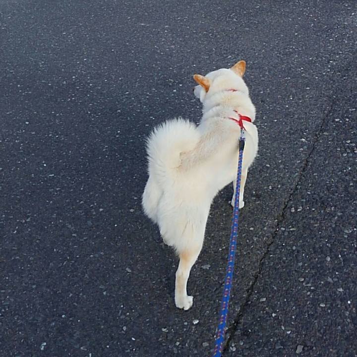 0a24003d 259c 41b7 b628 d22d29cac542