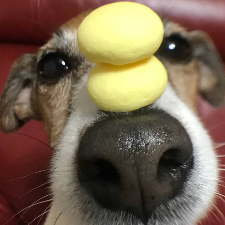 0a2474d1 619f 437c a5ff b8170b9b35d3