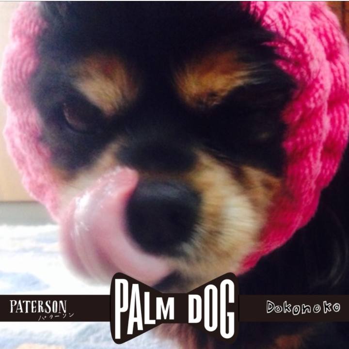 0a24b2fe c025 43ee b356 fe46a93c1391