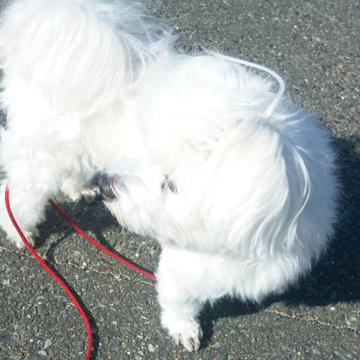 0a253fdb 2f6b 4ffd 9d85 fa77082e8ae9