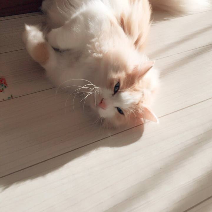 0a25a747 e8c5 4bd2 a6ce b9d93a207ec9