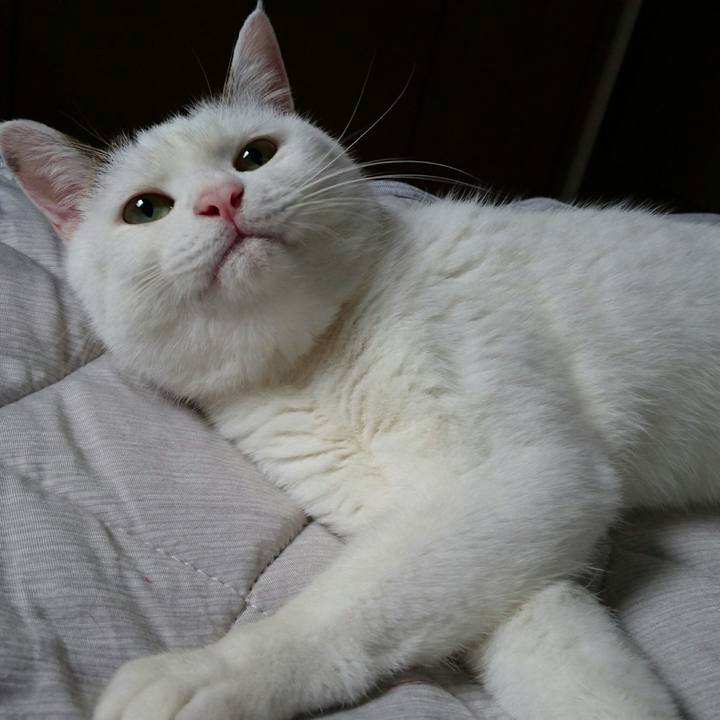 0a25d9b9 ffaf 4613 83a8 2bc593838851