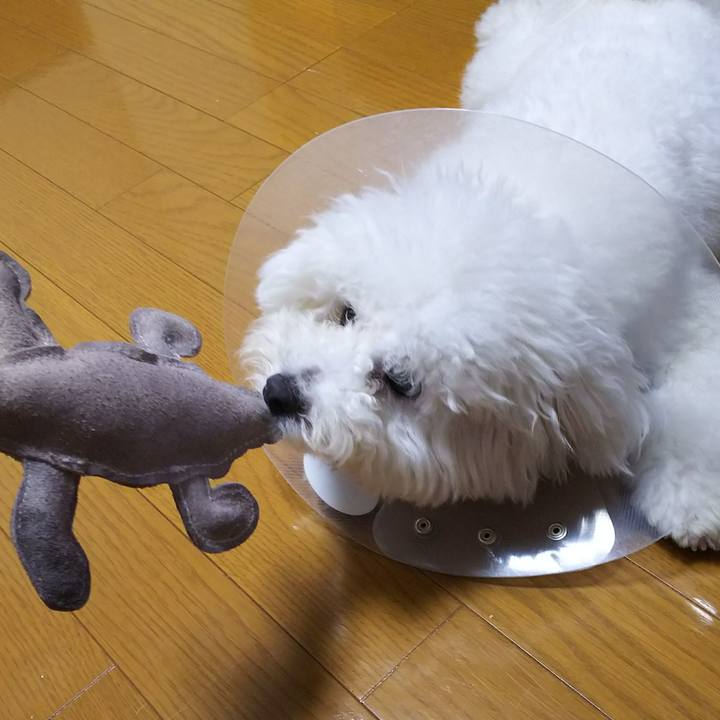 0a2629f6 e7f0 4cc7 9ed2 4b829a141173