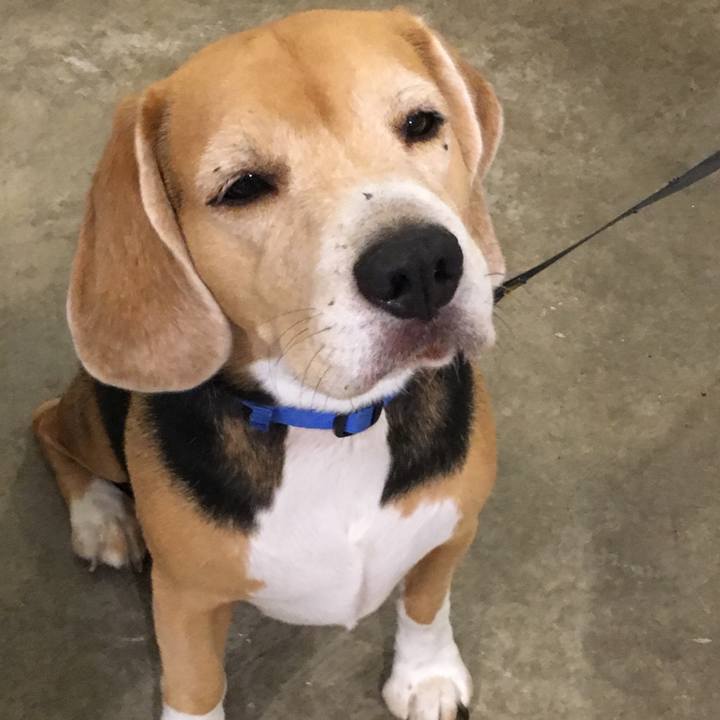 0a26d06c 05fc 46cd 94e0 72ab58f33103