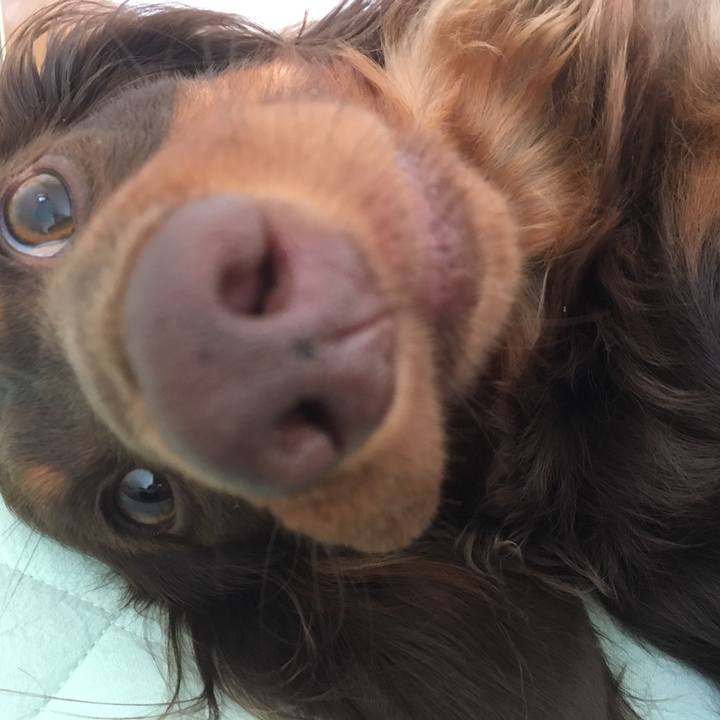 0a278d16 6138 4460 80d3 cc217c8e7c85