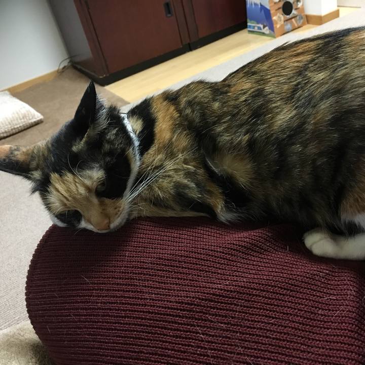 0a27e5a0 863a 49cb 8096 97f45ccdd950