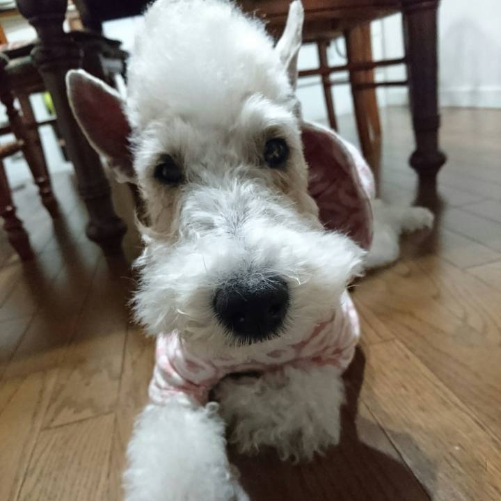 0a27ff31 0021 4d5c a997 86401dafd8f0