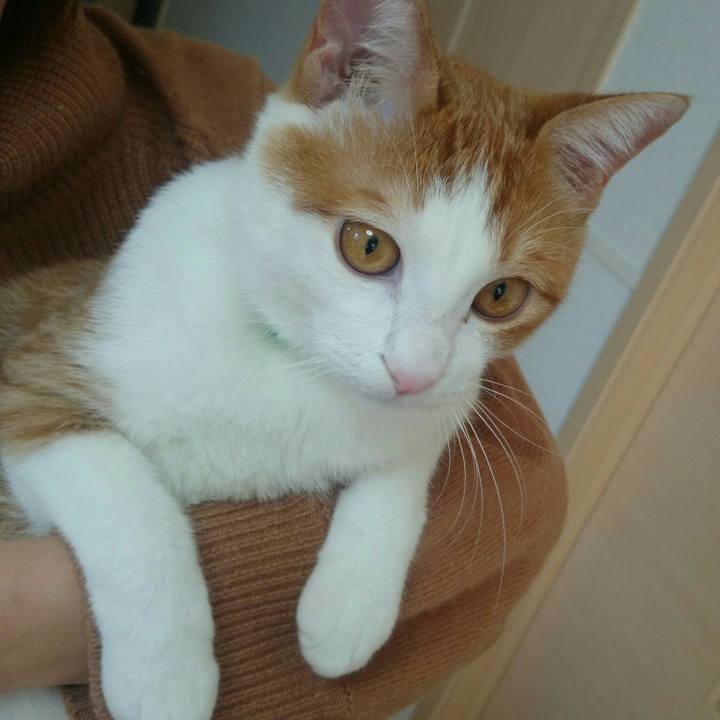 0a287dbf 85e3 47b6 a346 caa1e7fc939c