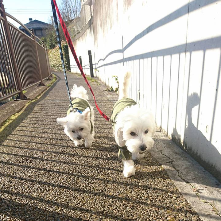 0a298a8d 8753 4345 b9bb b7fab7dbccf5