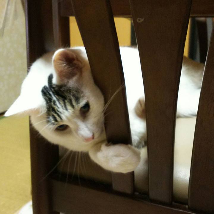 0a2ae025 6270 40a5 8198 c2ed5bbec7a7