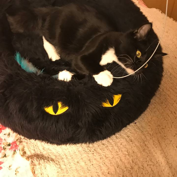 0a2affae ade4 4f51 b555 e4caa3ca2fa9