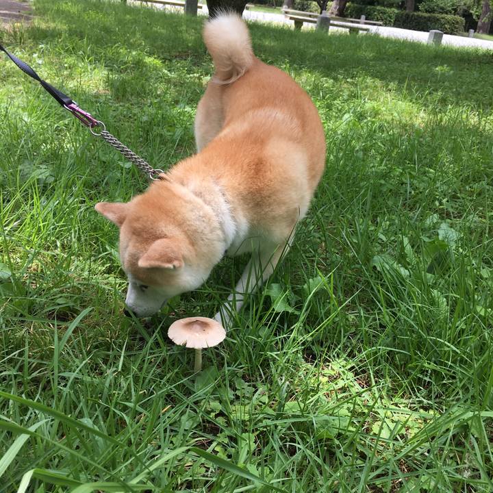 0a2b3f0e 0502 451a 9d99 a5b2df5c6af4