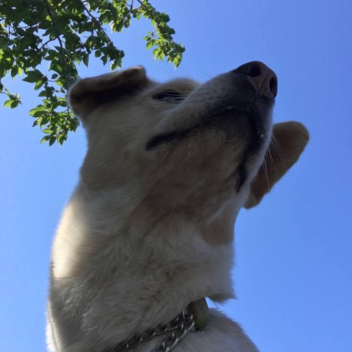 0a2bfd8d 9b80 4b15 82dc 842161ad3edc