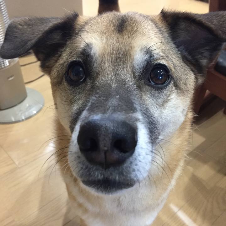 0a2cb31b 9ca3 4950 a0e3 fffcc2797361