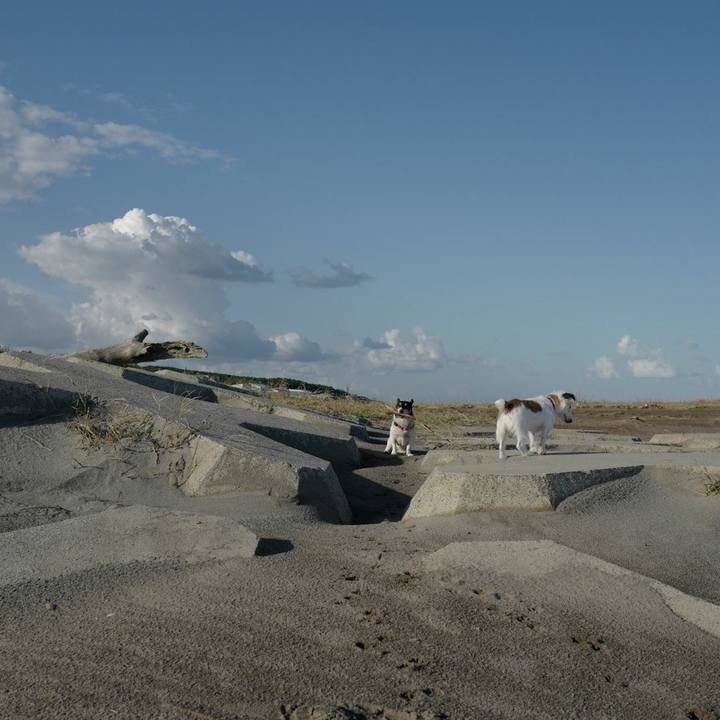 0a2d0e21 523b 4961 b717 2257b7e33881