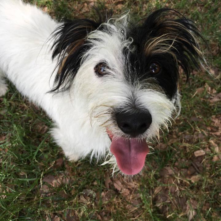 0a2d52a7 da4b 4e9d ada4 c4286bf3b956