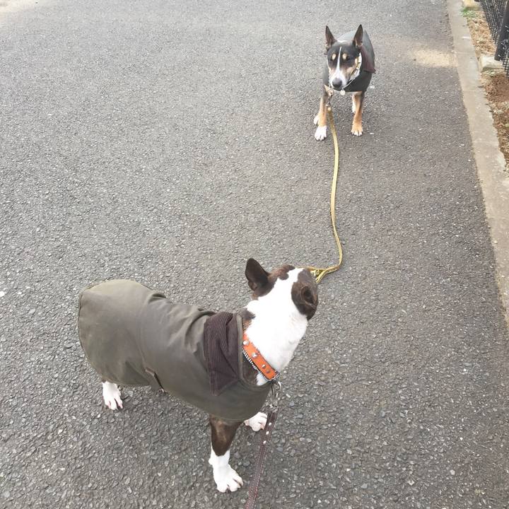 0a2da265 bd35 4ccf 8ca7 9a01d4d098a5