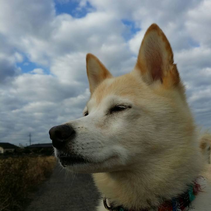 0a2ef857 cfd1 40bf b52e 4f9cae8a63ea