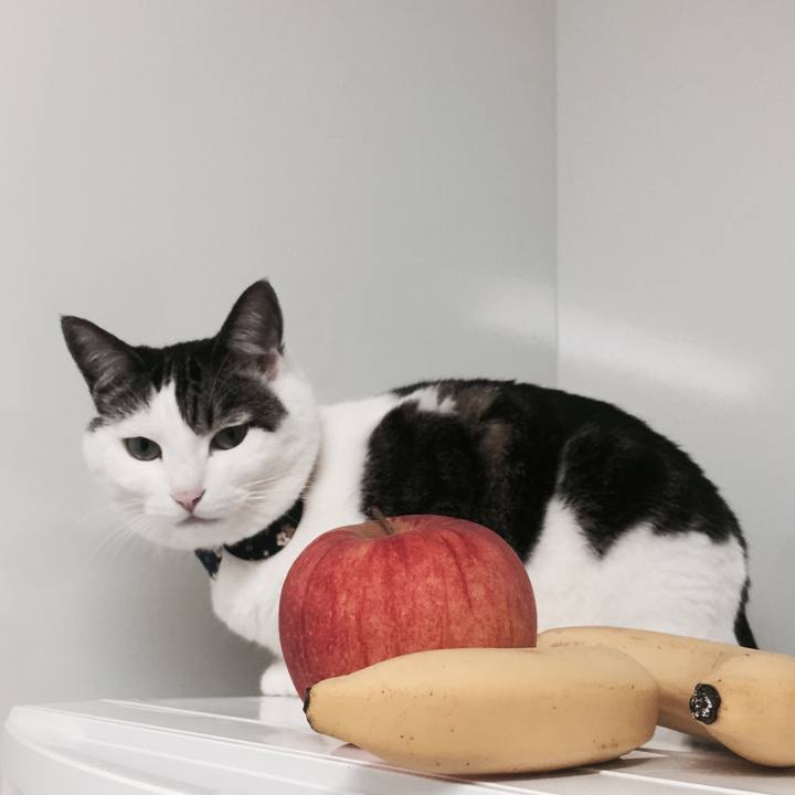 0a2f0d94 bf75 43ec 90bc b8ee7826abe0